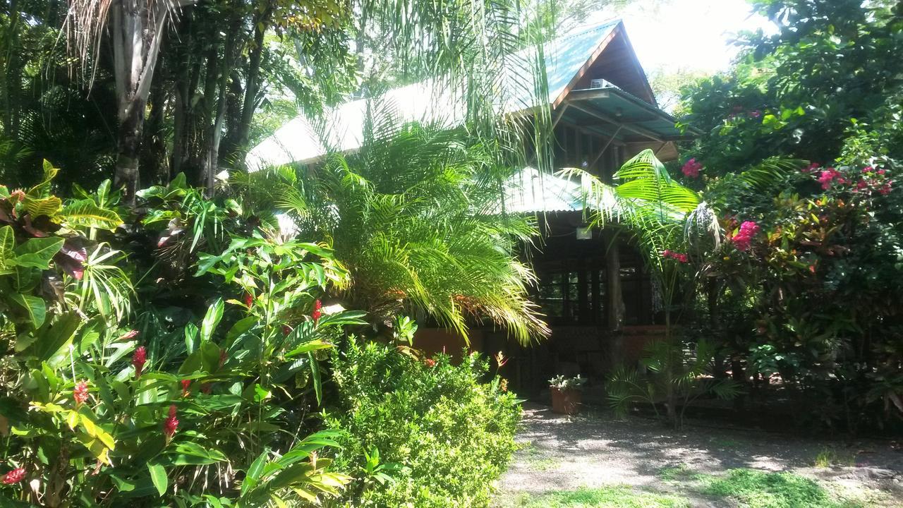 Hostel Casa Mymy Playa Negra Exterior foto