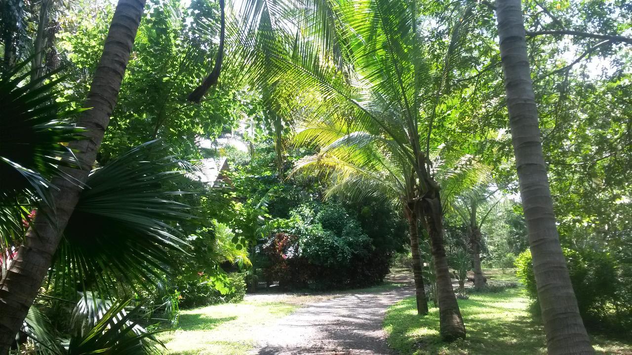 Hostel Casa Mymy Playa Negra Exterior foto